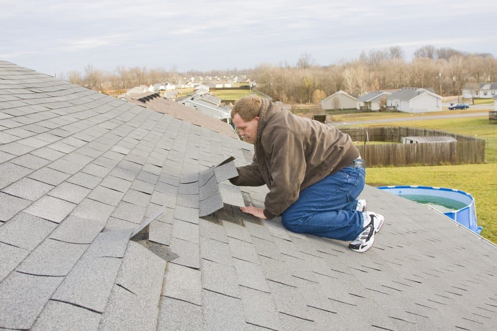 A roofer kneels on a shingled roof, inspecting and lifting damaged shingles to assess the roof for repairs.